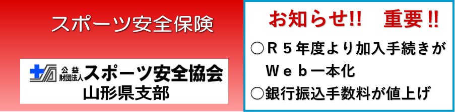 保険 スポーツ 安全